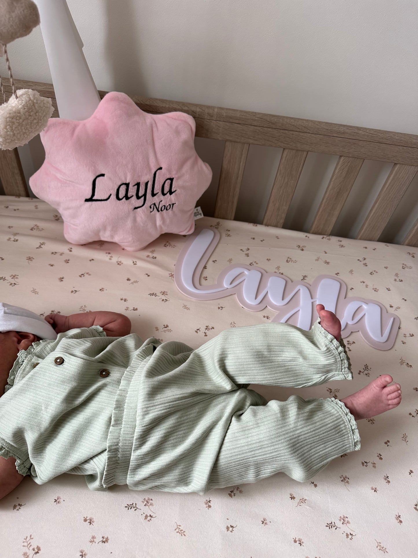 Double layered acrylic wall sign